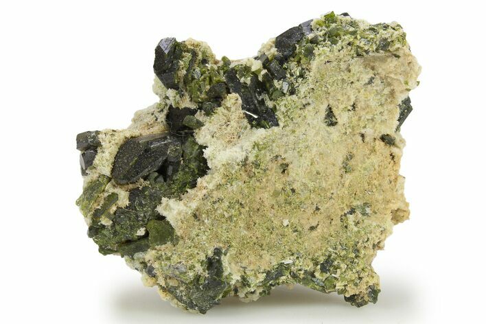 Lustrous Epidote Crystals on Actinolite - Pakistan #290473